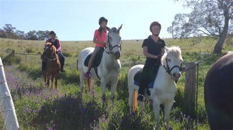 nyroca horse riding centre.